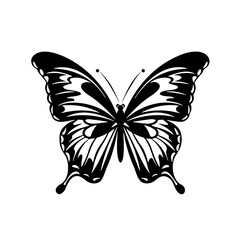 butterfly svg , butterfly  png, butterfly illustration, butterfly  silhouette, butterfly , butterfly  png, butterfly clipart, butterfly, insect, nature, wing, wings, fly, beauty, animal, swallowtail, 