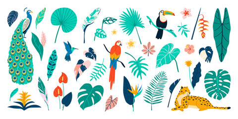 Hand drawn exotic flora and fauna illustration set with wild animals and tropical leaves - obrazy, fototapety, plakaty
