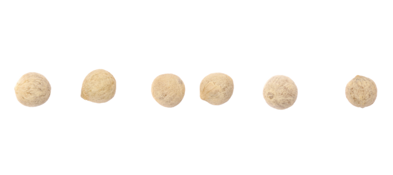 Dry white whole peppercorns set and collection macro, isolated on white, clipping path