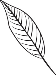 Illustrated Leaf Clip Art Element