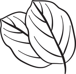 Illustrated Leaf Clip Art Element