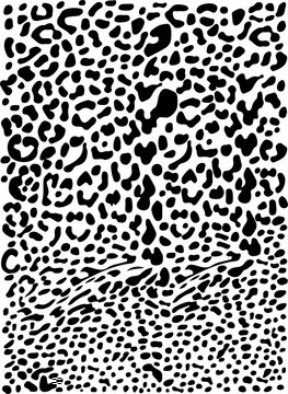 Abstract leopard fur motifs background 