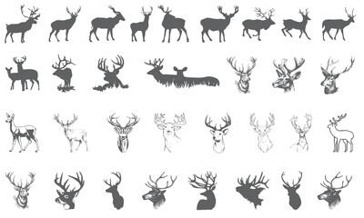Deer icons collection