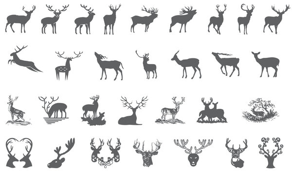 Deer icons collection