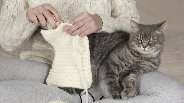 Crochet close-up. An unrecognizable girl is crocheting with a cat in her arms. View straight ahead.