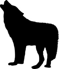 Vector silhouette of Wolf on white background
