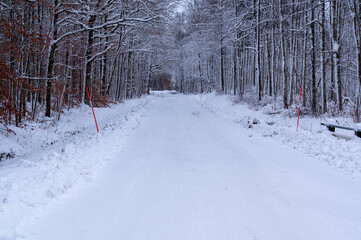 Straight winter road white of snow with reflecting sticks