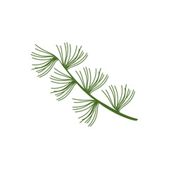 background of flora and palm leaves