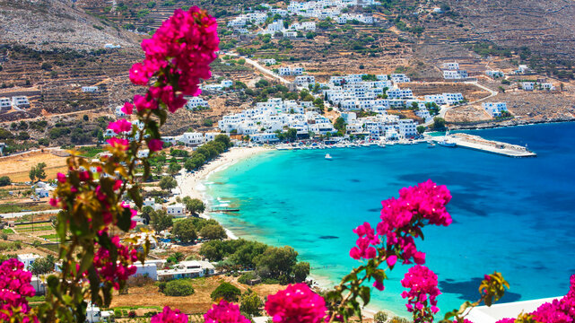 Authentic Amorgos island Greece. Pink bougainvillea flowers an aerial view of Aegiali bay. Turquoise sea panorama. White Cycladic village. High resolution 8K image. Scenic Mediterranean landscape.