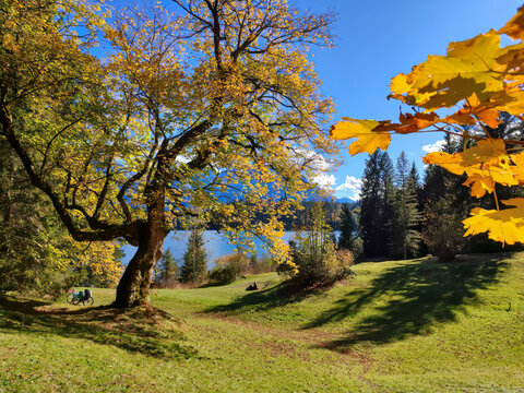 Stanberg Lake view with autumn leaves at the foreground and blue sky warm background 
