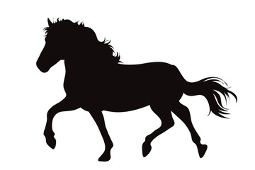 Vector silhouette of horse on white background. Symbol of stallion and horse riding.