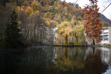 Reflejos de Otoño: La Magia de un Lago Rodeado de Bosques Policromáticos