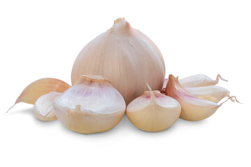 Whole garlic and several cloves isolated on a transparent background.