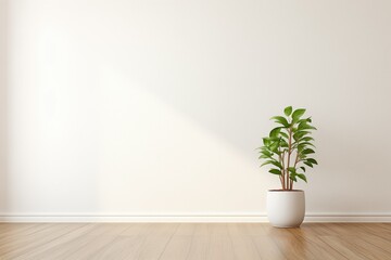 empty room with green plant