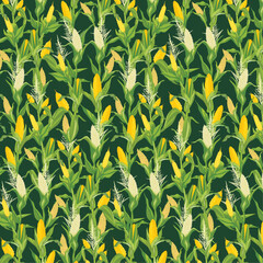 seamless pattern of corn