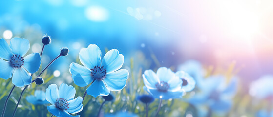Flores azuis desabrochando com iluminação azul no campo - Papel de parede macro - obrazy, fototapety, plakaty