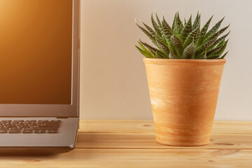 Laptop on a wooden table with a cactus plant. Home office concept.
