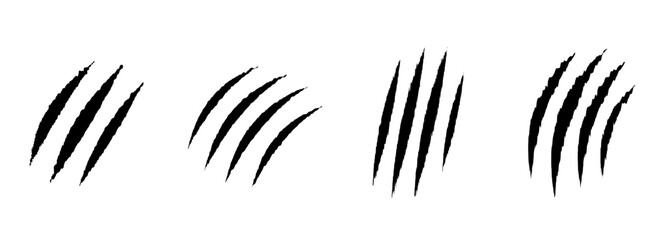 animal claws scratch scrape track. Cat tiger scratches paw shape. 