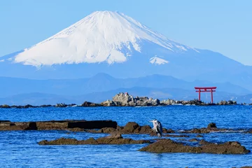 Gordijnen 富士山と海の上の鳥居　湘南観光 © ibuki
