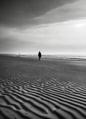 silhouette of person walking on beach