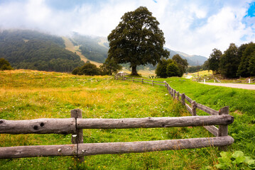 Green fields and farmlands with wooden fence