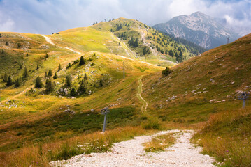 Gentle green hills with trees in summer