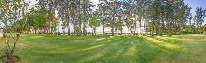 View across a lawn of a vacation hotel in thailand to adjacent trees in front of the beach
