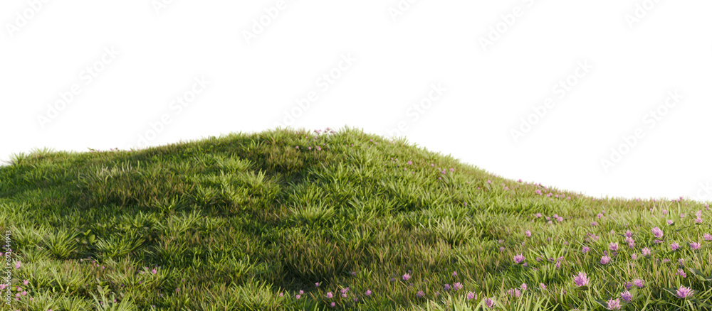 Poster Hills with grass with dandelions on a transparent background. 3D rendering.