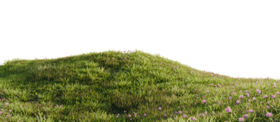 Hills with grass with dandelions on a transparent background. 3D rendering.