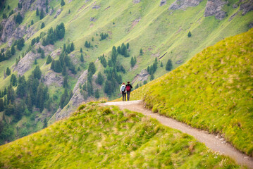 Fototapeta na wymiar Hiking trail in Dolomite alps, mountain in summer
