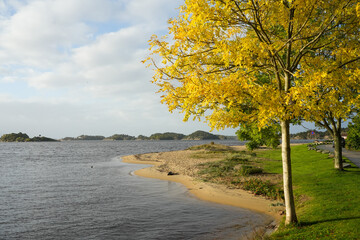 Herbst im Fjord in der Nähe von Kristiansand in Norwegen