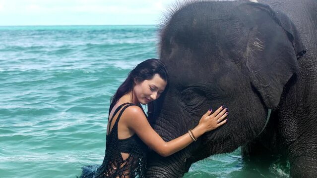 Young attractive asian woman standing in sea ocean blue water embracing baby elephant. Tenderness with elephant, She closed her eyes while hug tusks and caress the elephant trunk gently and lovingly.