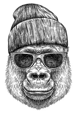 Vintage engraving isolated gorilla set glasses dressed fashion illustration ape ink sketch. Monkey kong background primate silhouette sunglasses hipster hat art. Black and white hand drawn image