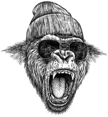 Vintage engraving isolated gorilla set glasses dressed fashion illustration ape ink sketch. Monkey kong background primate silhouette sunglasses hipster hat art. Black and white hand drawn image - obrazy, fototapety, plakaty