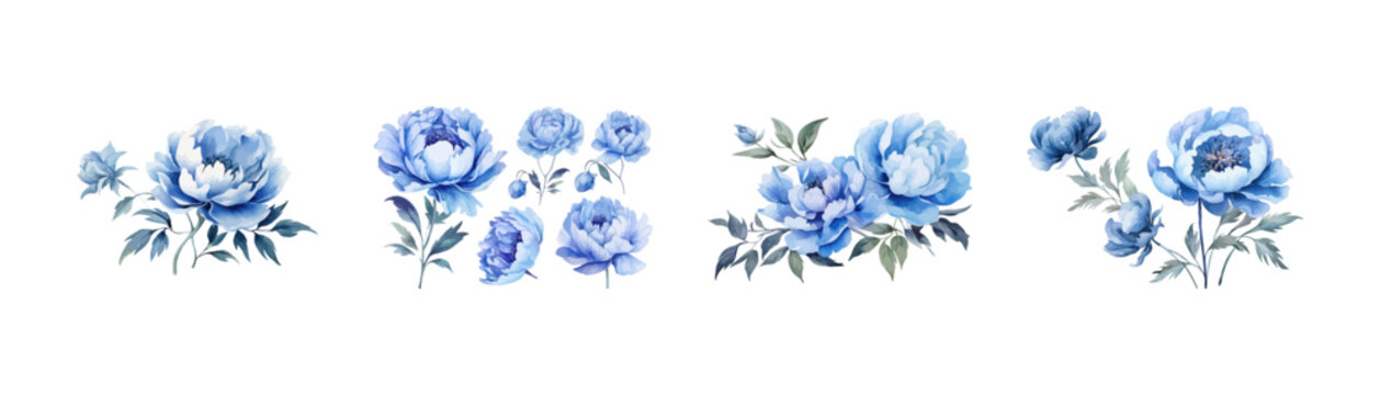 Watercolor blue peony clipart for graphic resources. Vector illustration design.