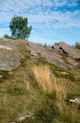 Val sans retour, Légende de Merlin, Forêt de Brocéliande, 56, Morbihan, France