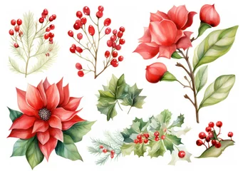 Fotobehang Holly flower background berry floral holiday design watercolor christmas decor winter © VICHIZH