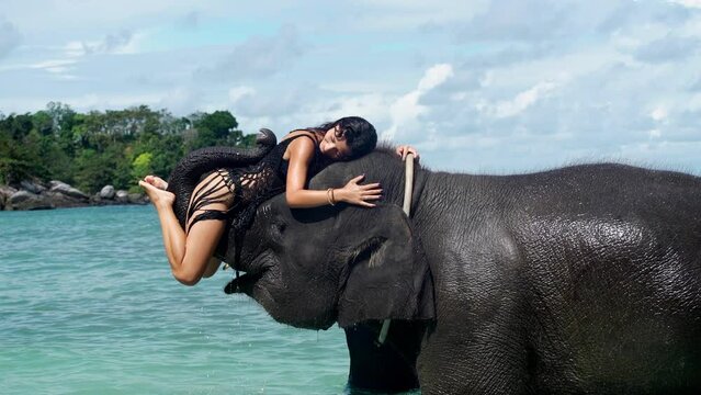 Young attractive asian woman embracing and lying on elephant standing in sea ocean blue water. Tenderness with elephant, Girl closed her eyes hug tusks and caress elephant trunk gently and lovingly.