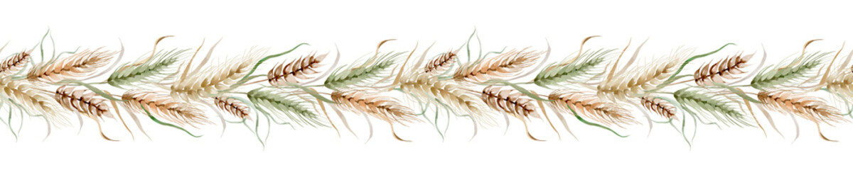 Watercolor seamless border of wheat ears. Oats, barley and rye are hand drawn. Horizontal botanical decoration isolated background. Drawing designs for bakery and invitations.