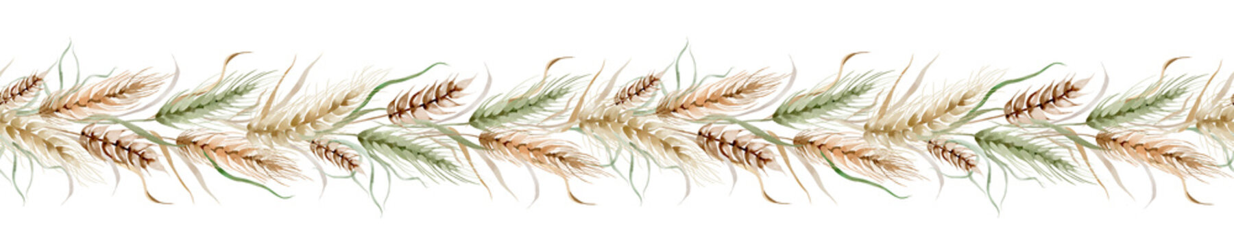 Watercolor seamless border of wheat ears. Oats, barley and rye are hand drawn. Horizontal botanical decoration isolated background. Drawing designs for bakery and invitations.