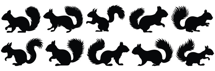 Squirrel silhouettes set, large pack of vector silhouette design, isolated white background - obrazy, fototapety, plakaty