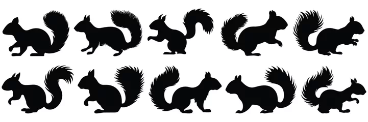 Fotobehang Squirrel silhouettes set, large pack of vector silhouette design, isolated white background © FutureFFX