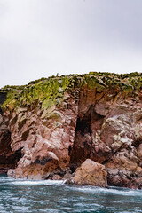 Ballestas Islands, Peru