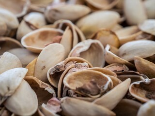 Large pile of empty pistachio shells