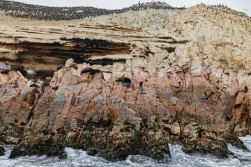 Ballestas Islands, Peru