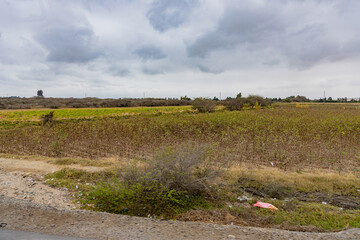 Peru