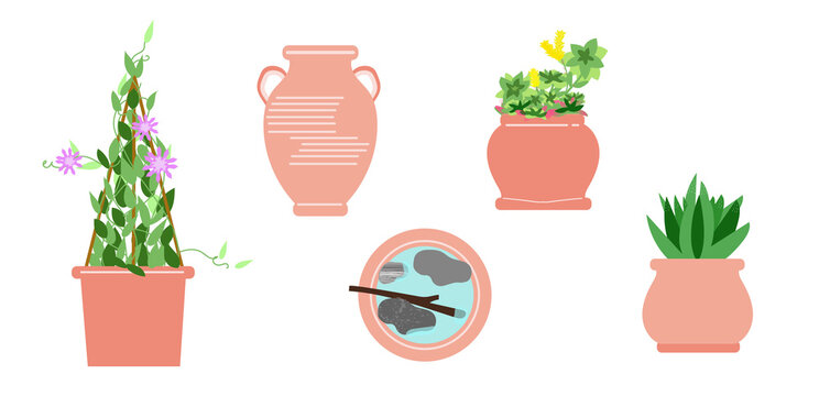 Pots, vase, terracotta garden mix collection, catus, sedum and climbing plants set collection illustration design