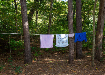 Clothes line in the woods