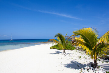 Grand Cayman Island Seven Mile Beach White Sands