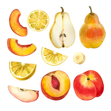 Set of watercolor illustrations. Juicy fruits pear, nectarine, lemon, fruit slices and apple drawn by hand in watercolor. Suitable for printing on fabric and paper, for books, menus and kitchen design